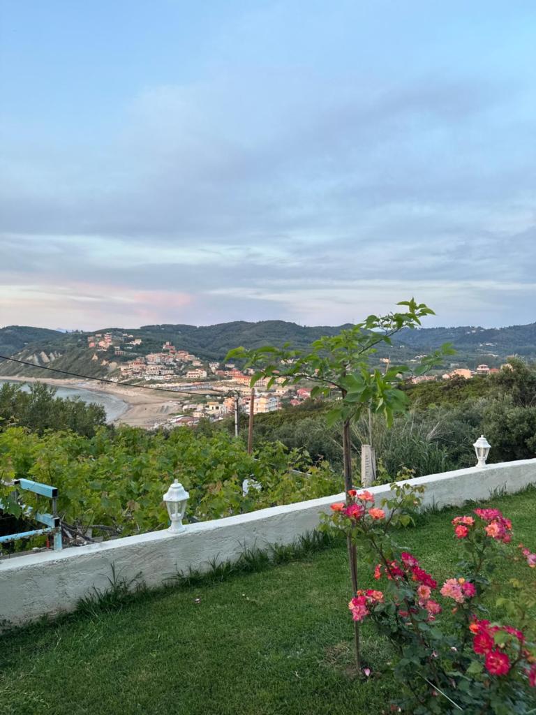 Gikas Apartments photo 2