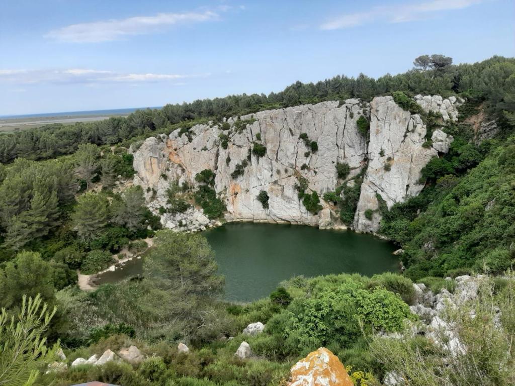 Garrigue sur cour photo 4