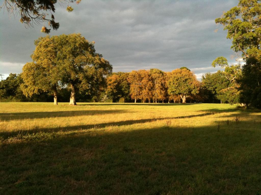 Gites dans le parc classé du Martreil photo 1