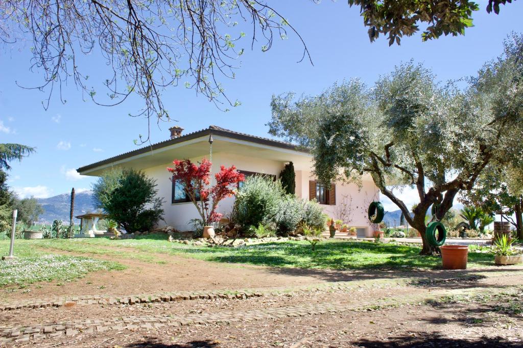 L'oasi della Pace photo 4