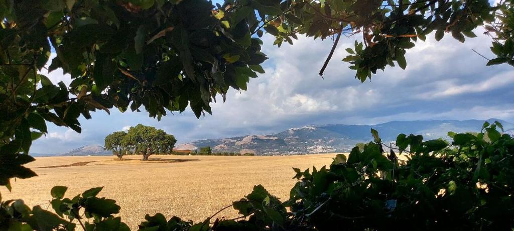 L'oasi della Pace photo 2