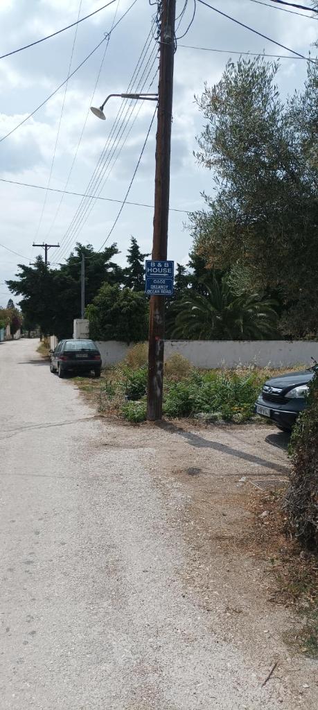 Basketball & Barbeque photo 2