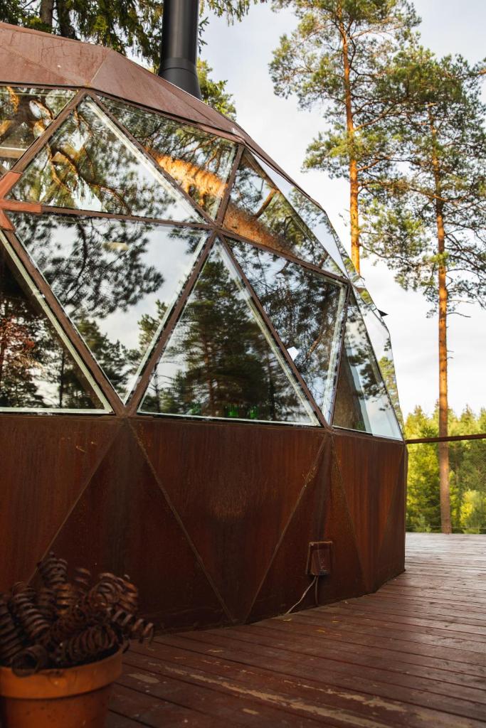 Treehouse dome photo 3