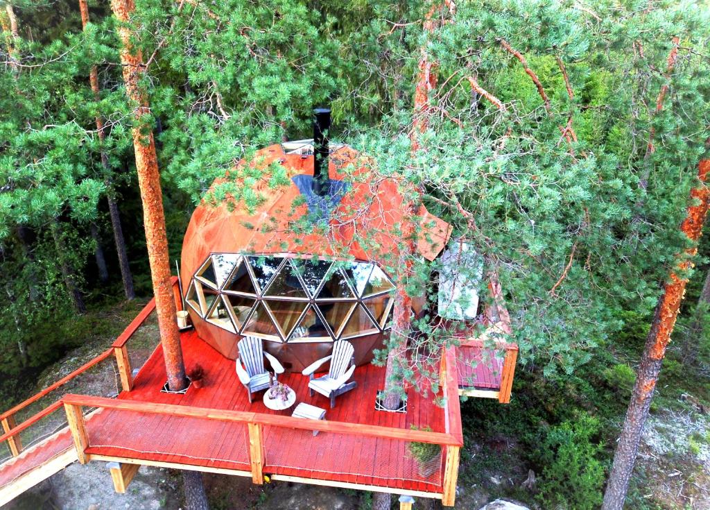 Treehouse dome photo 4