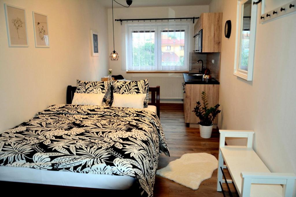 Apartmány u Kotačků photo 1