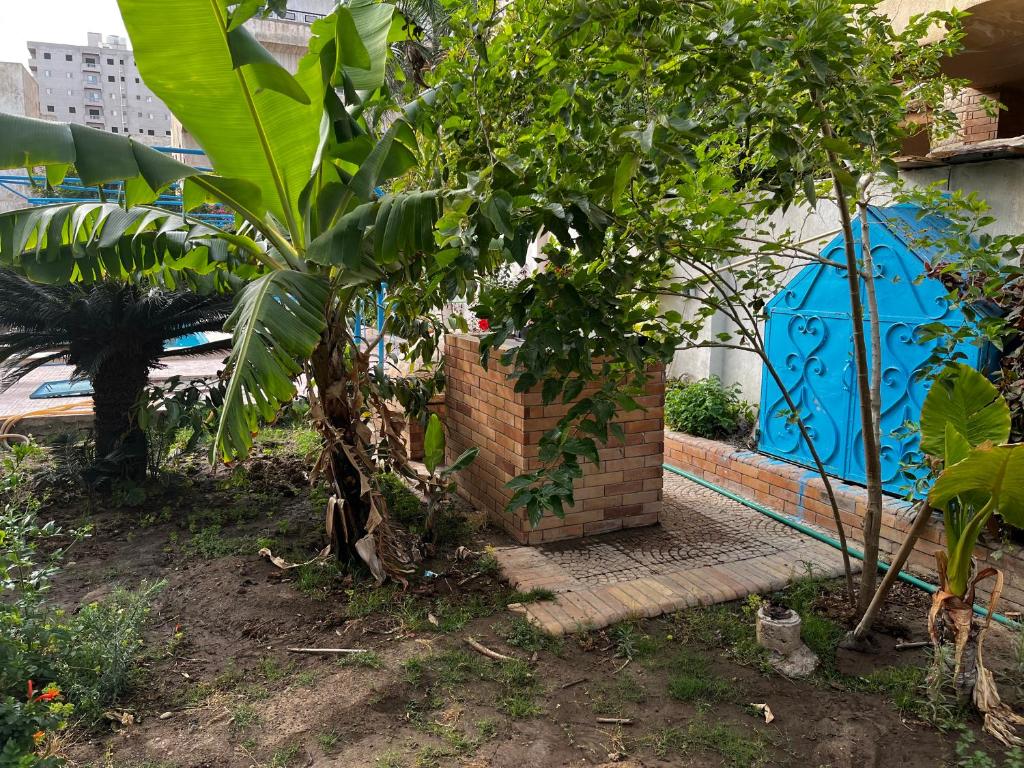 Blue family villa with large private pool photo 2