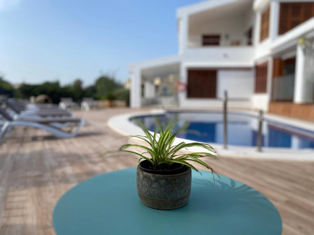 Villa Garrido photo 3