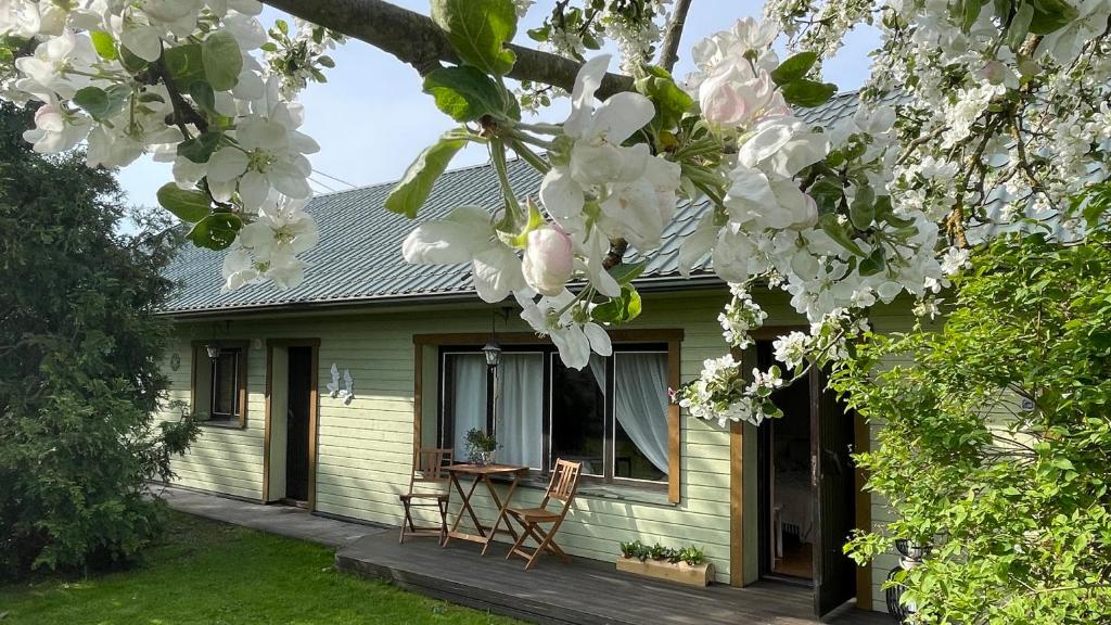 Cosy guesthouse with sauna and outdoor kitchen photo 2