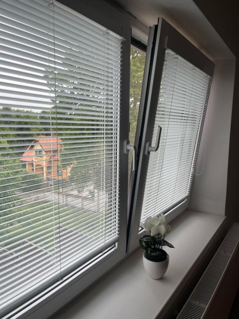 Apartmán v rodinném domě photo 4