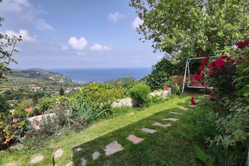 Sunrise house photo 1