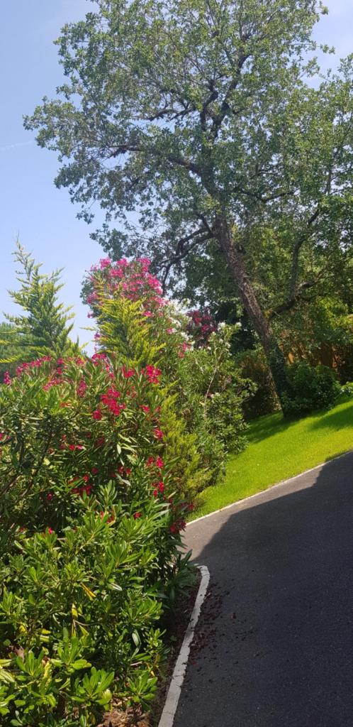 Villa Latecoere 7 personnes avec grande piscine chauffée photo 3