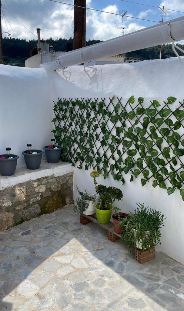 Tasos_Studios&Apartments photo 3