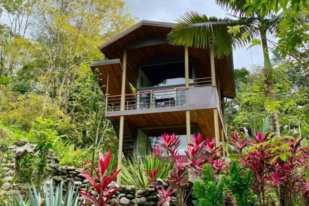 Sloth Premium Riverfront Jungle Villa with Jacuzzi and Pool photo 1