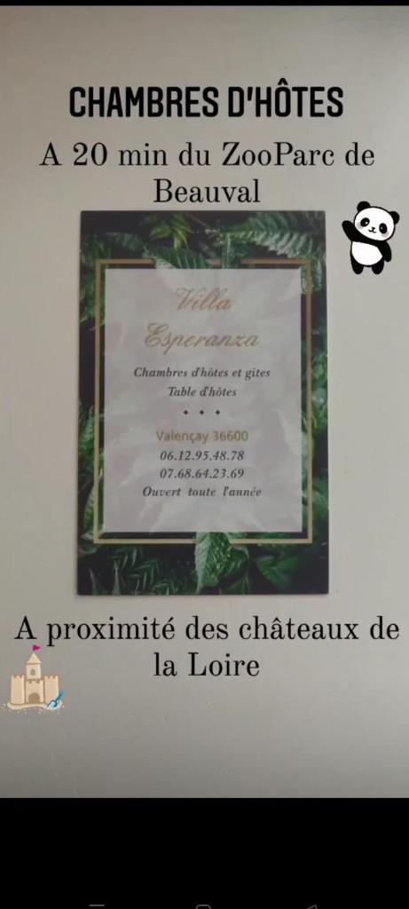 VILLA ESPERANZA Suite de 2 à 4 personnes proche Zoo de Beauval et châteaux de La Loire photo 1