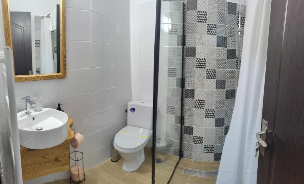 Pensiunea Trei Brazi Arieseni photo 3