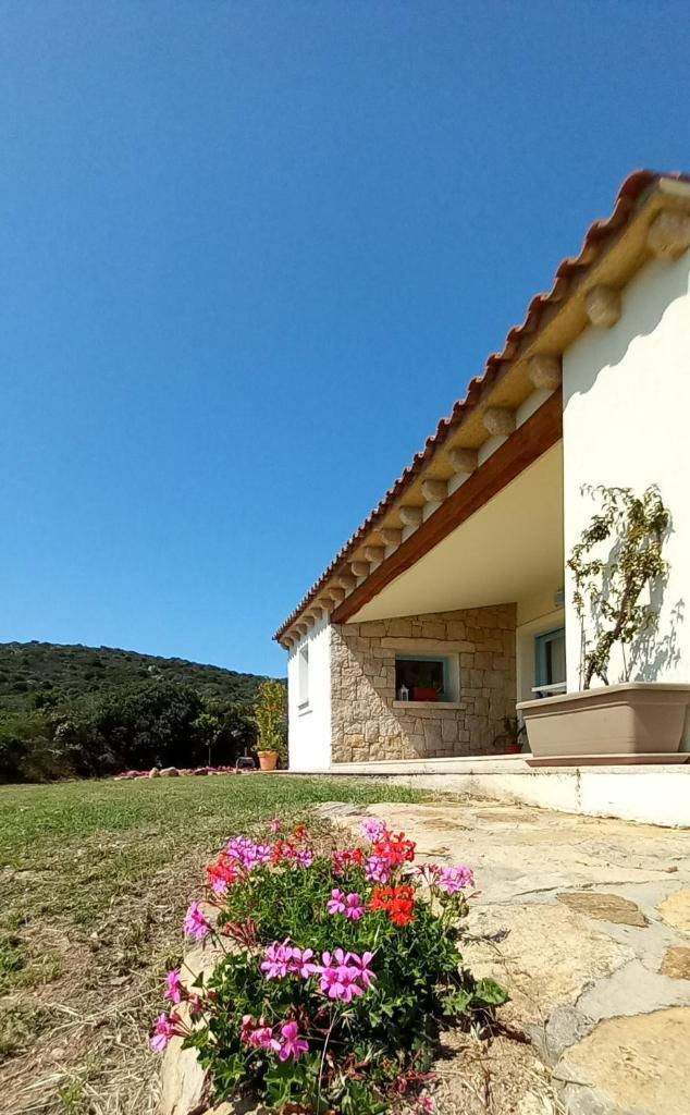 A Casa di Viola o Villa Violetta photo 1