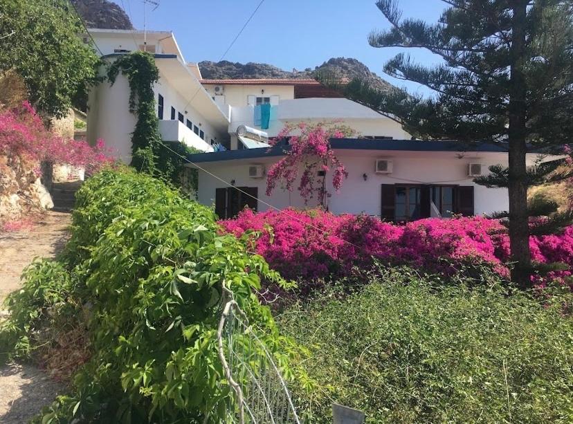 Garden House photo 4