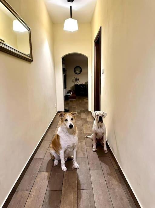 2 Bedroom Apartment For Rent photo 1
