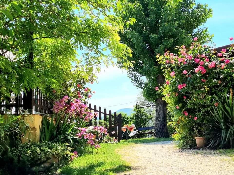 La Locanda dei Cavalieri Affittacamere photo 1