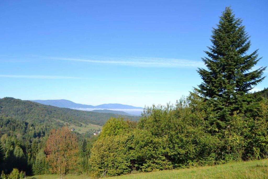 Apartamenty Delux-S1 przy trasie S1 photo 1