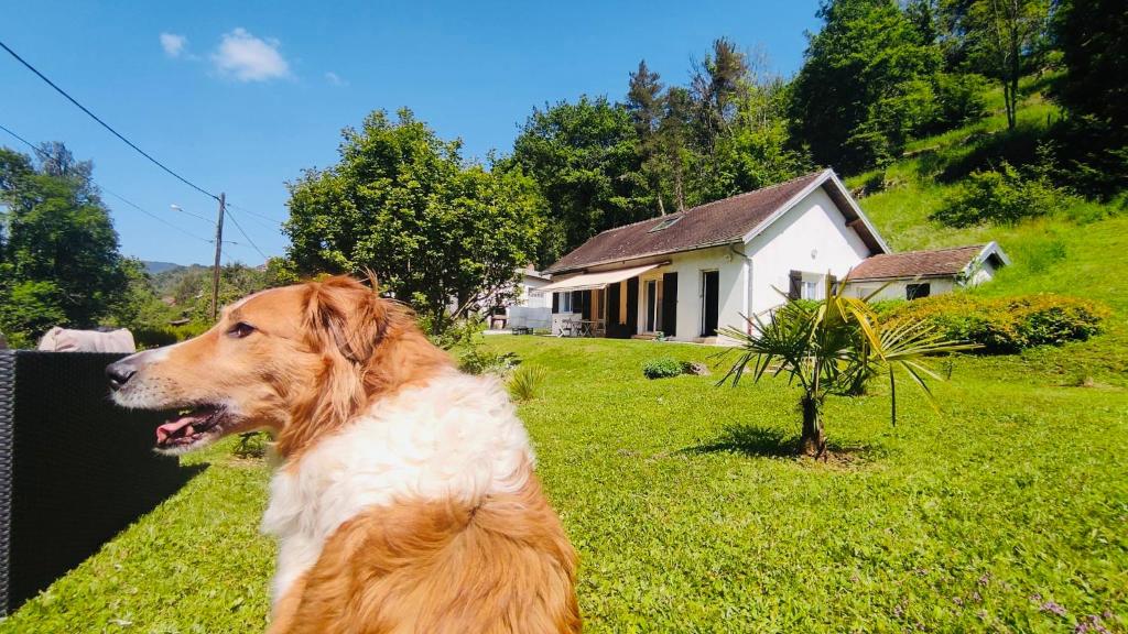 Superbe villa apaisante, vue sur la loue photo 1