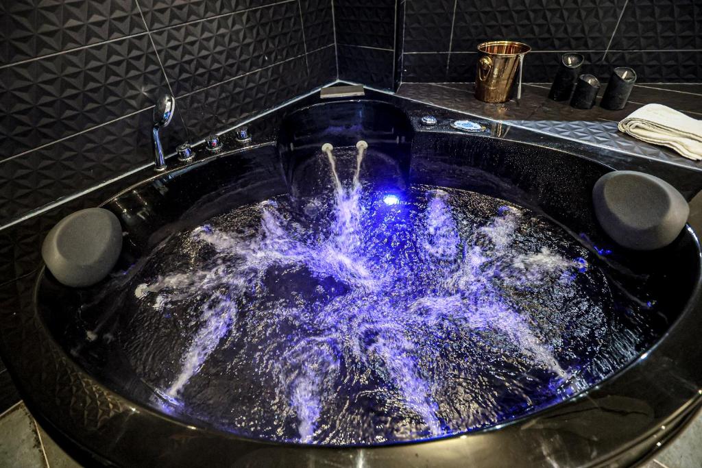 Le Legendary Spa, hypercentre avec sauna, balnéo et wifi par SOVALFI photo 2