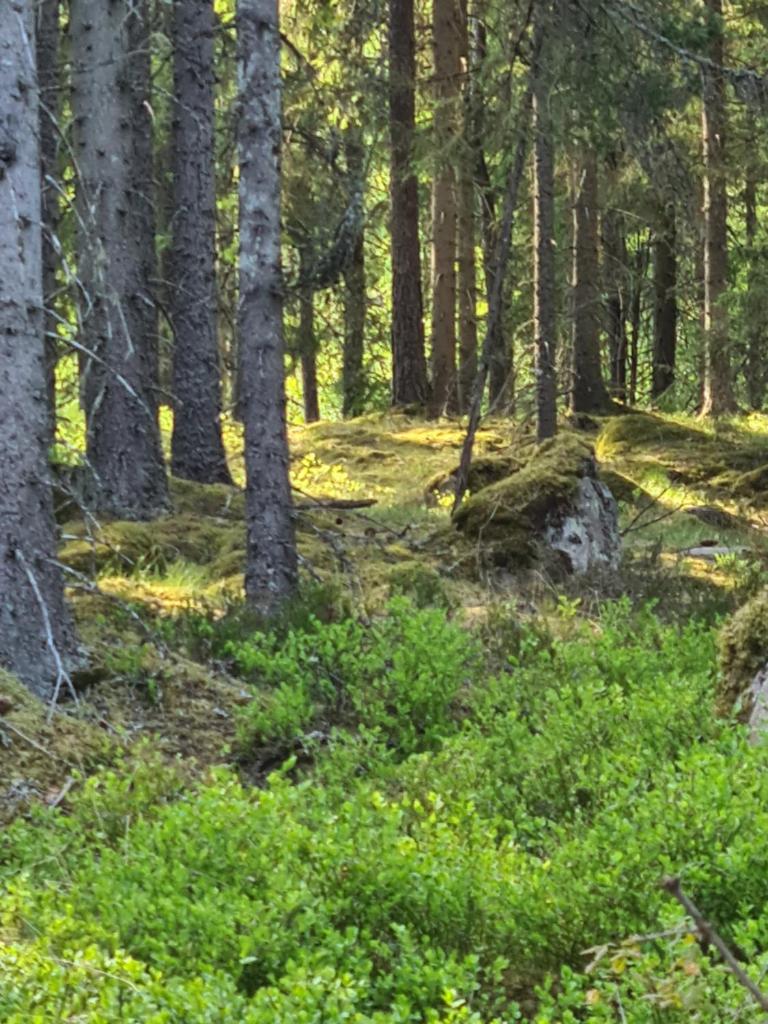 Tosthult holiday 3 photo 4