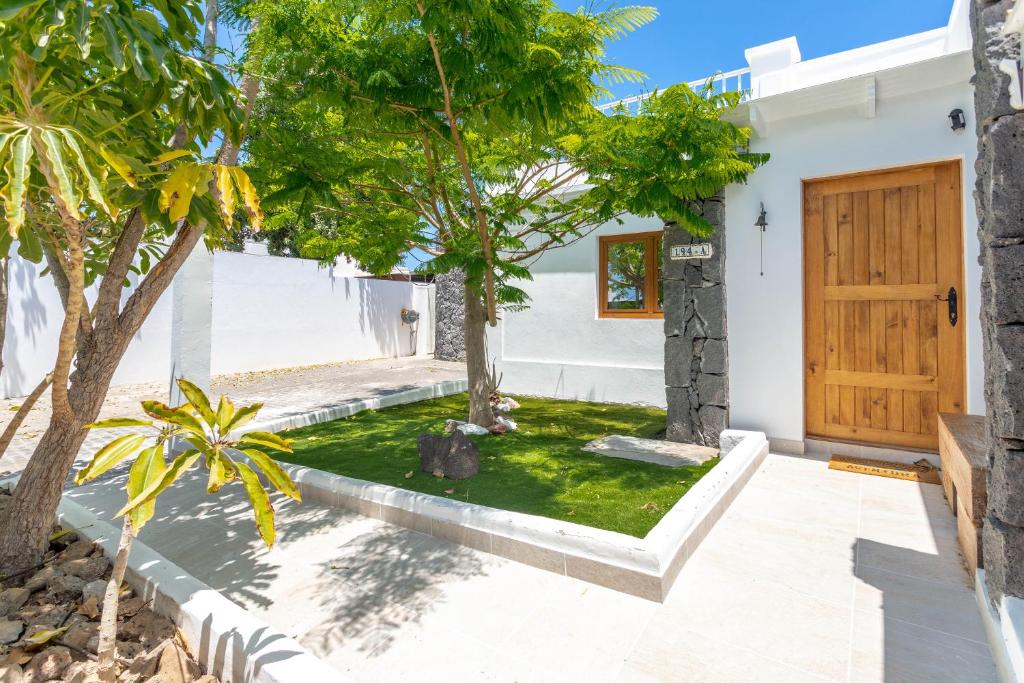 Villa Olive Tree photo 1