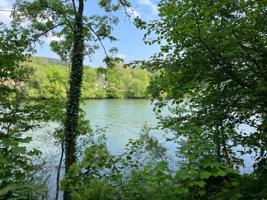 Entre Roche & Meuse photo 4