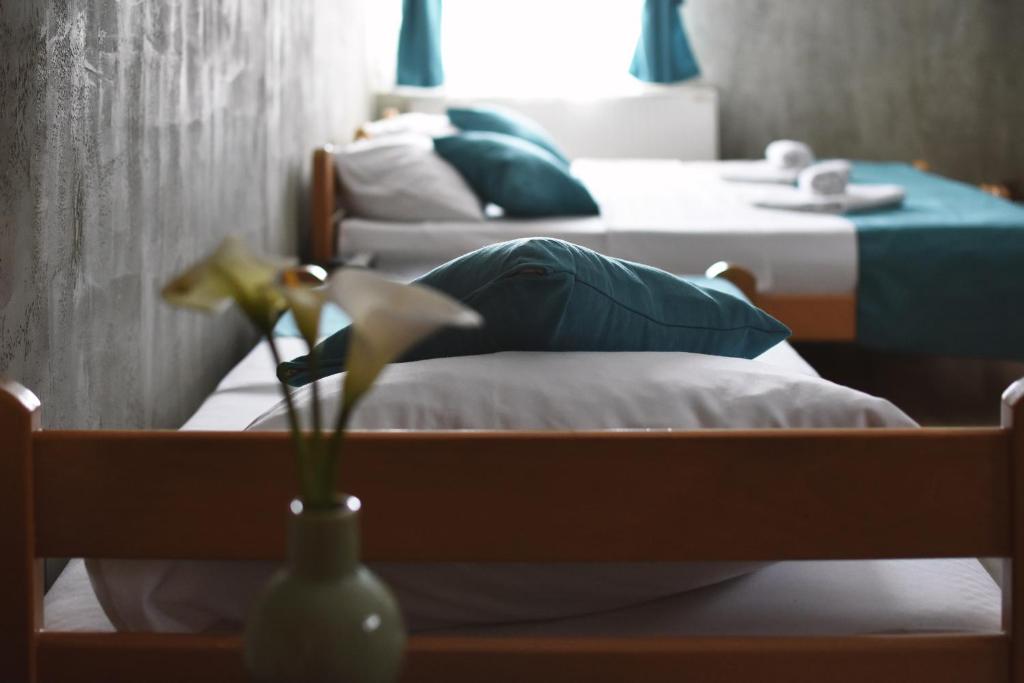 Guest House Villa Mir photo 4