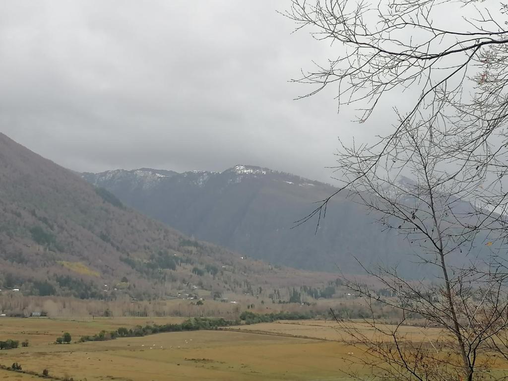 Alquimia del Hualle photo 2