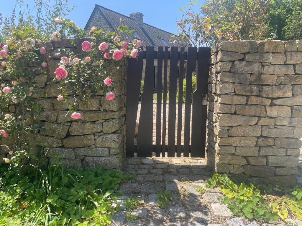 TY Fine Rose photo 4