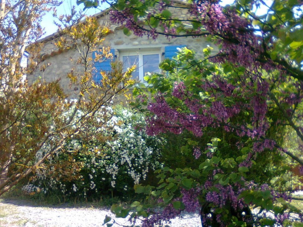 La Nichoule photo 4