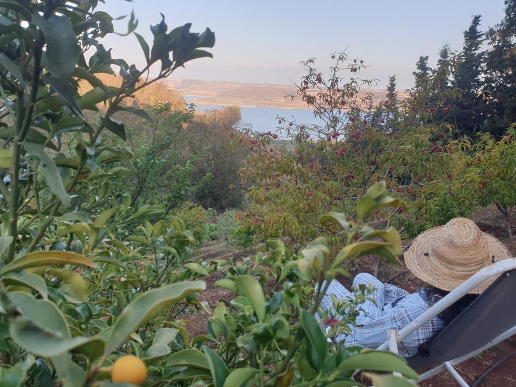 Lac du barrage sidi med Ben abdellah photo 2