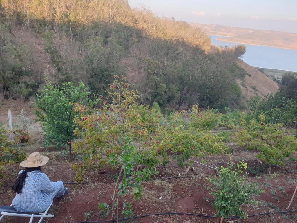 Lac du barrage sidi med Ben abdellah photo 1