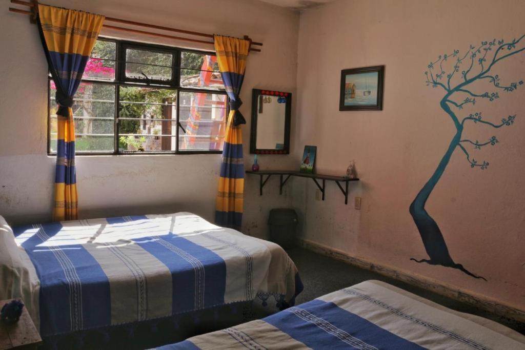 Hostel Mirador photo 1