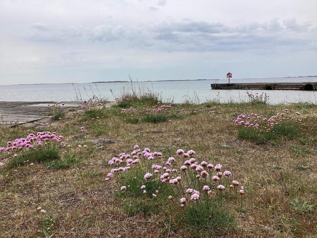 Holiday home Torhamn II photo 4