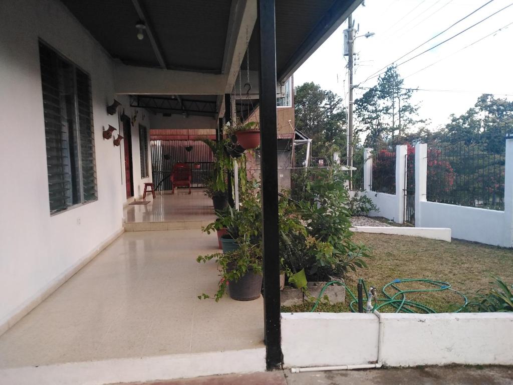 Boquetelandia photo 2