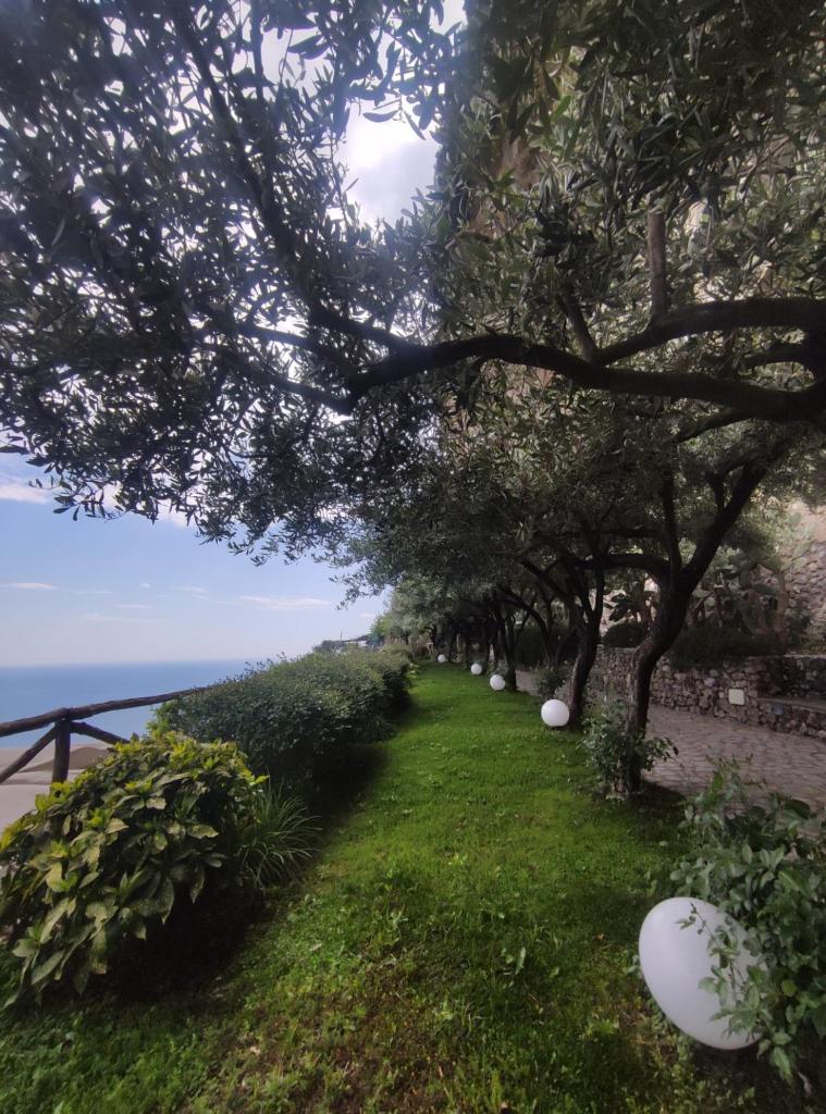 Villa San Cosma photo 2