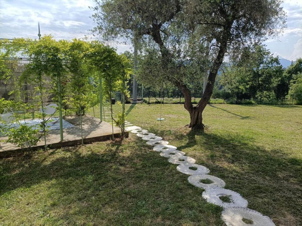 CASA MARI photo 2