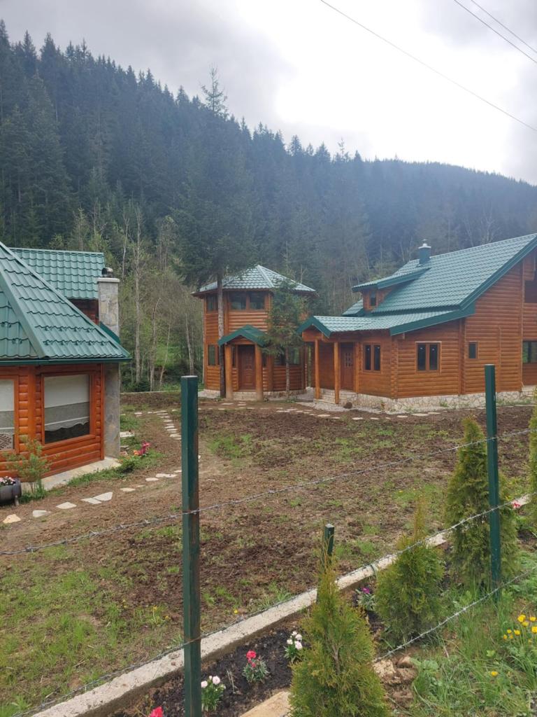 Brvnara Ibar photo 3