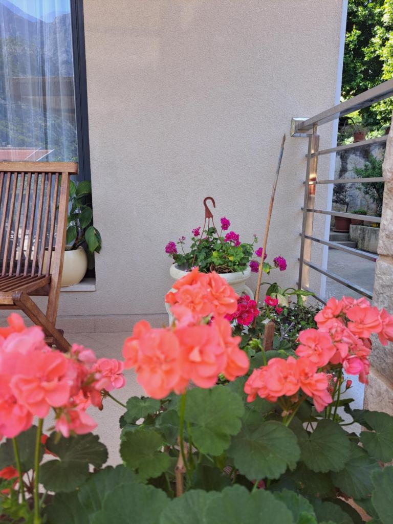 Apartment Benvenuti photo 2