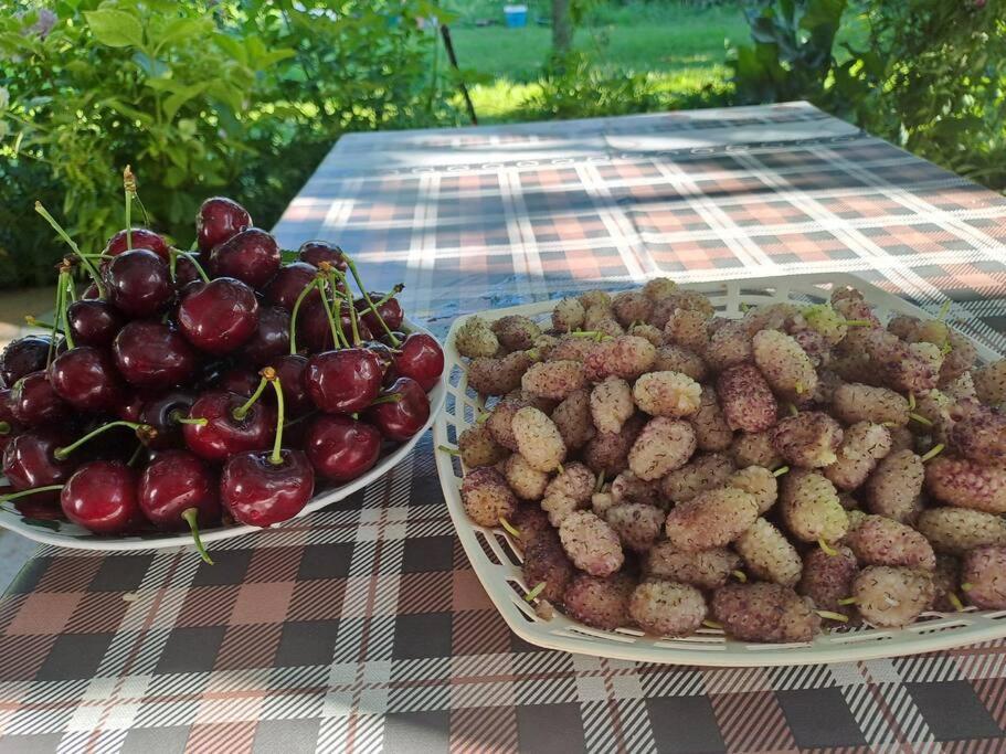 Holidayhome with 100% bio food photo 1