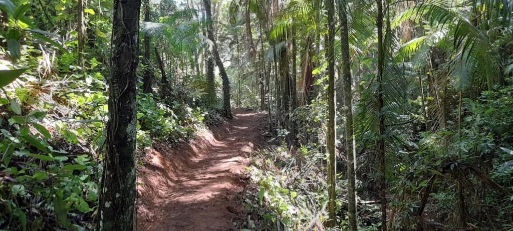 Sitio Camundongo photo 1