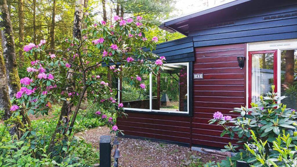 Bosbungalow de Eekhoorn photo 1