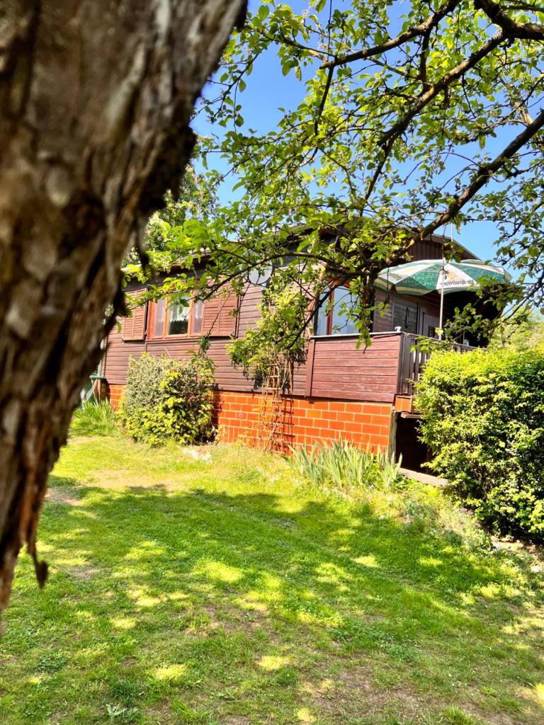Ferienhaus Zittertal Neustadt Harz Haus I photo 3