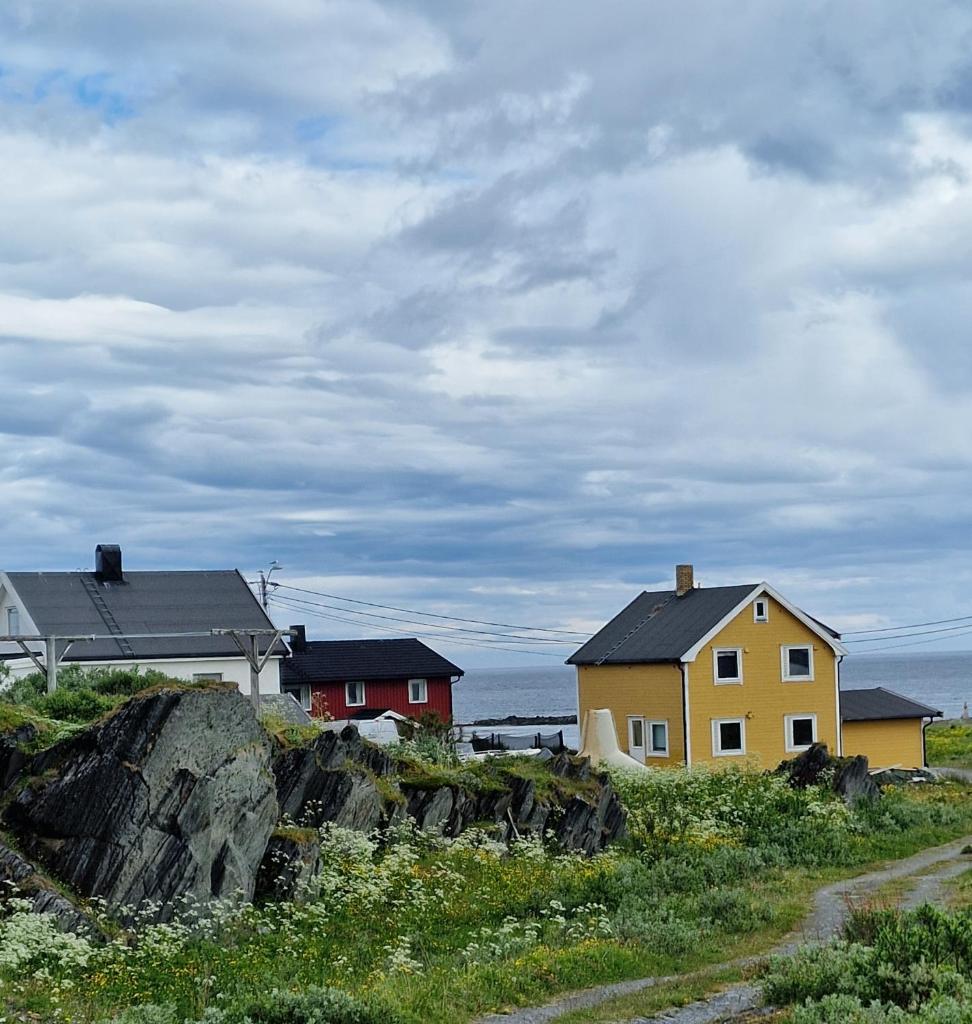Liten leilighet i Berlevåg photo 2