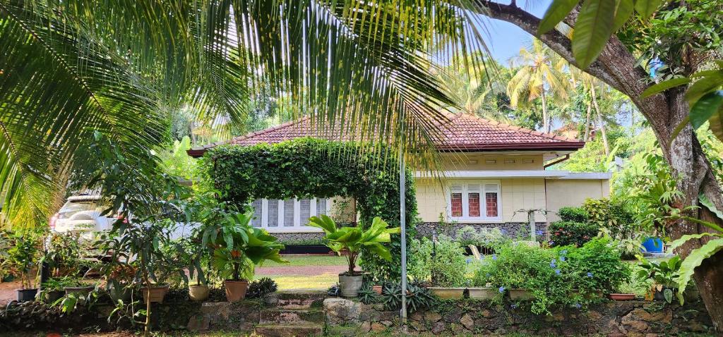 CHARAKAMA Guest Bungalow - GAMPAHA photo 4