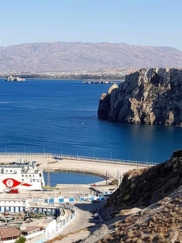 Almarsa1 photo 2