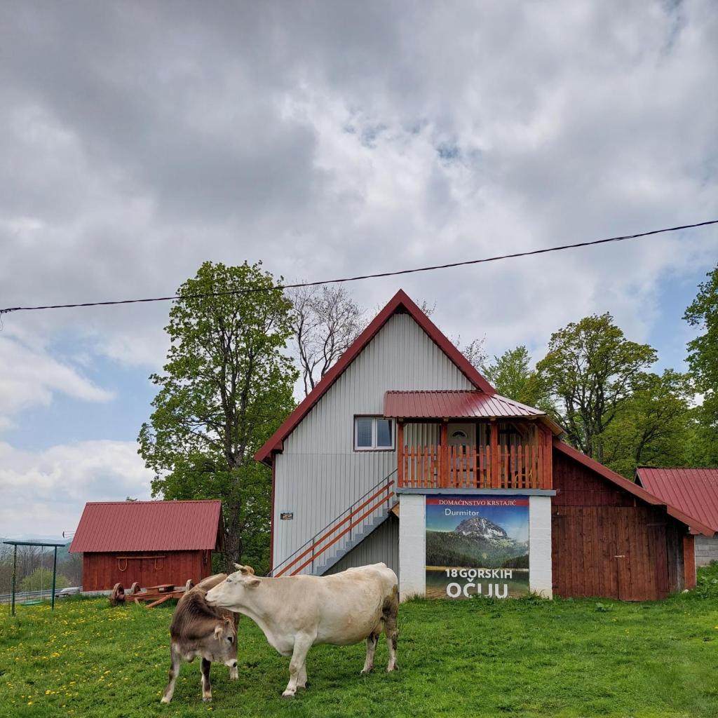 Domaćinstvo Krstajić - Rural holiday photo 3